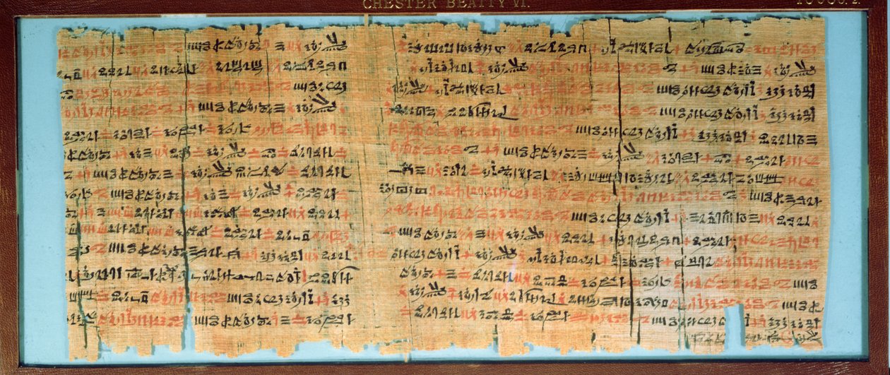 Der Chester Beatty Medizinische Papyrus, Neues Reich, ca. 1200 v. Chr. von Egyptian 19th Dynasty