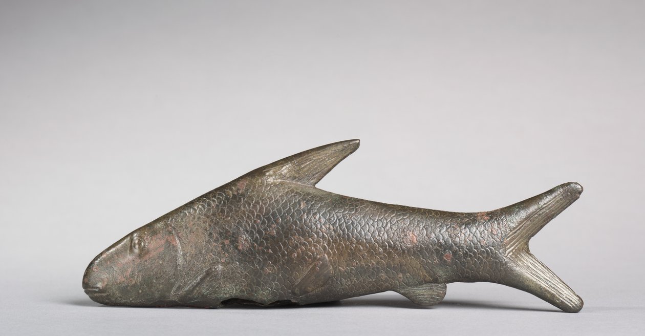 Lepidotus-Fisch, griechisch-römische Zeit, 305-30 v. Chr. von Egyptian Ptolemaic Period