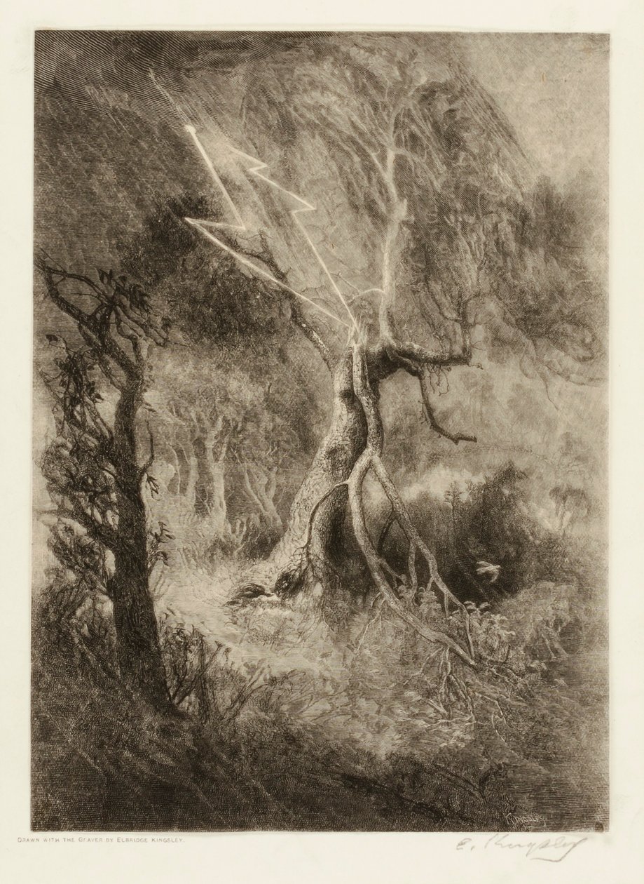 Die Tragödie eines Nestes von Elbridge Kingsley