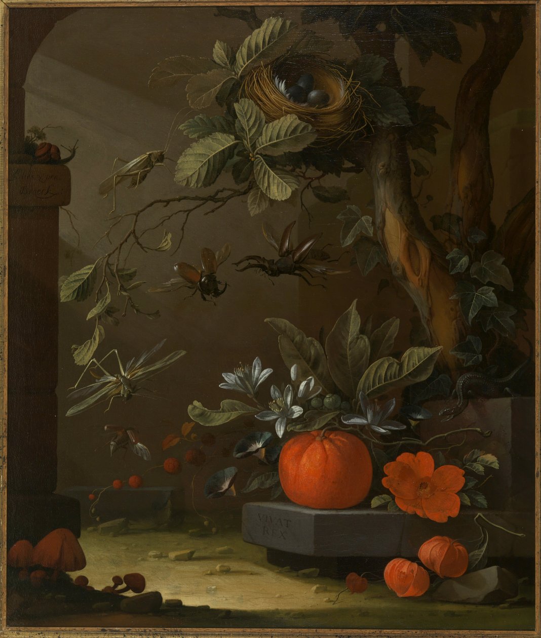 Vivat Rex von Elias van den Broeck