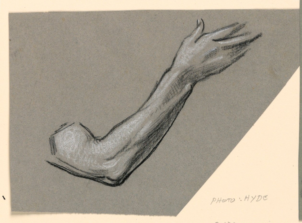 Detail einer Armzeichnung, ca. 1885 von Elihu Vedder