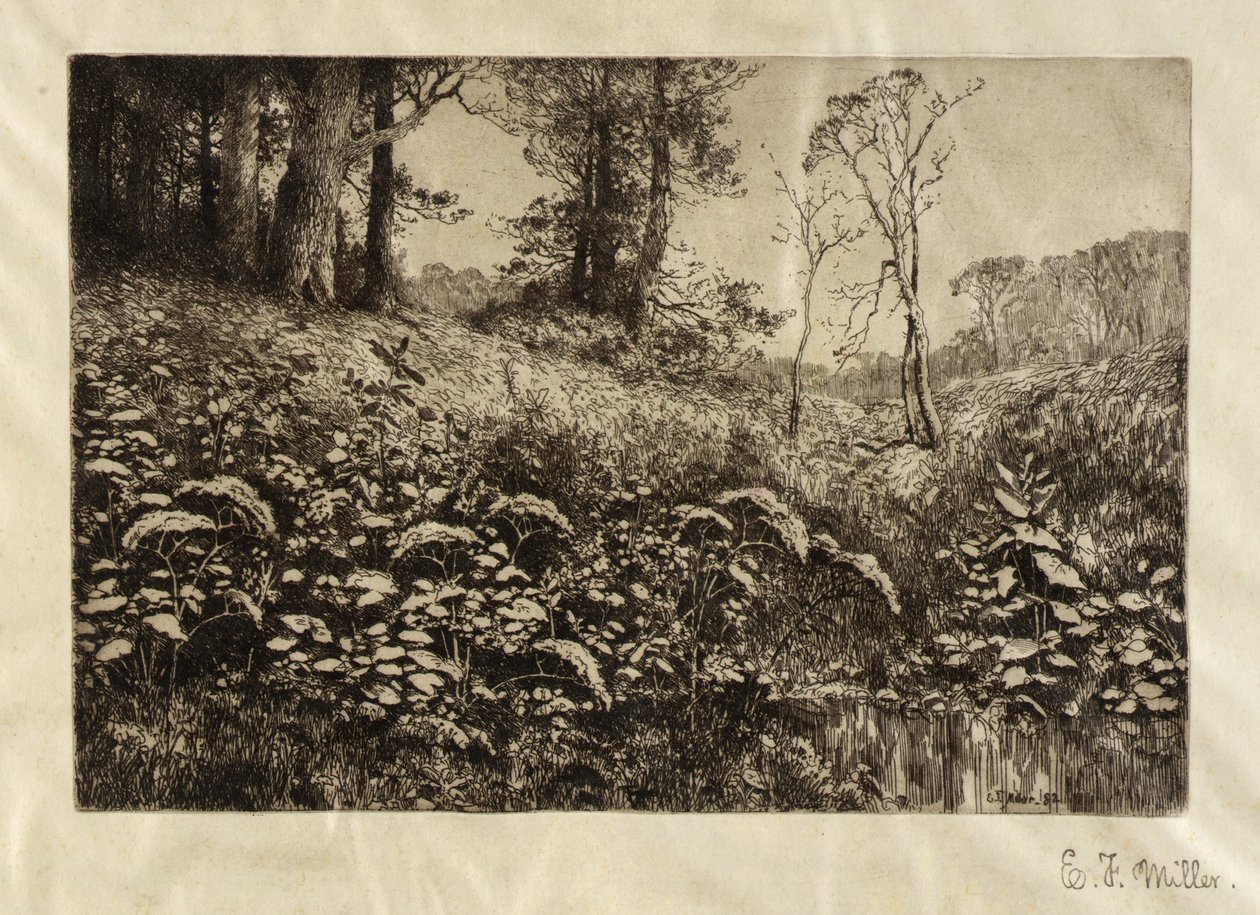 Ein Sommernachmittag von Elis F. Miller