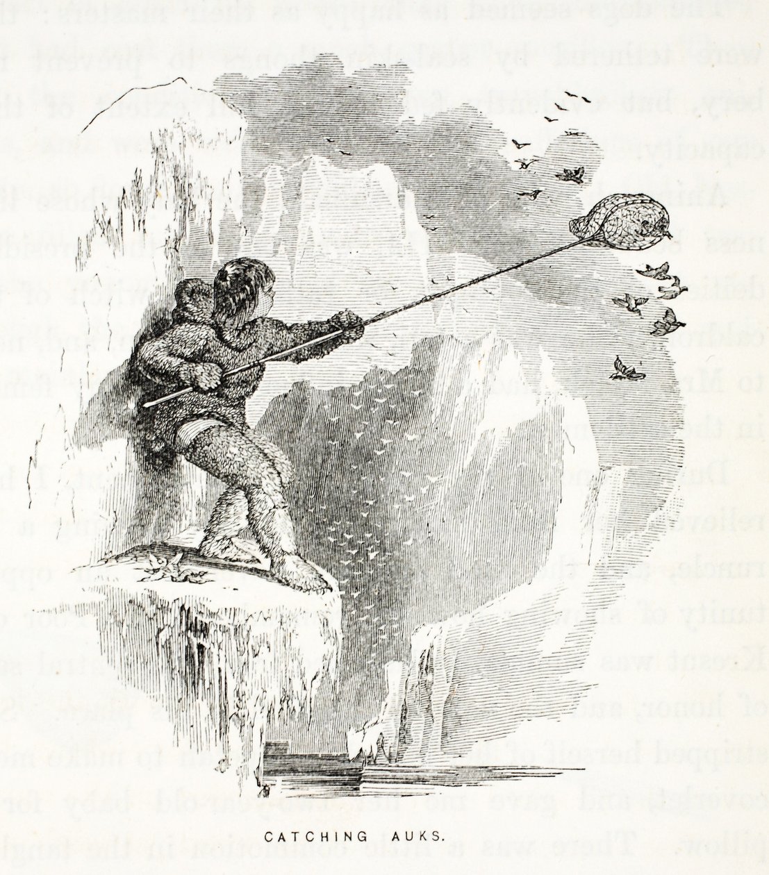 Auks fangen, Illustration aus der zweiten Grinnell-Expedition auf der Suche nach Sir John Franklin, 1856 von Elisha Kane