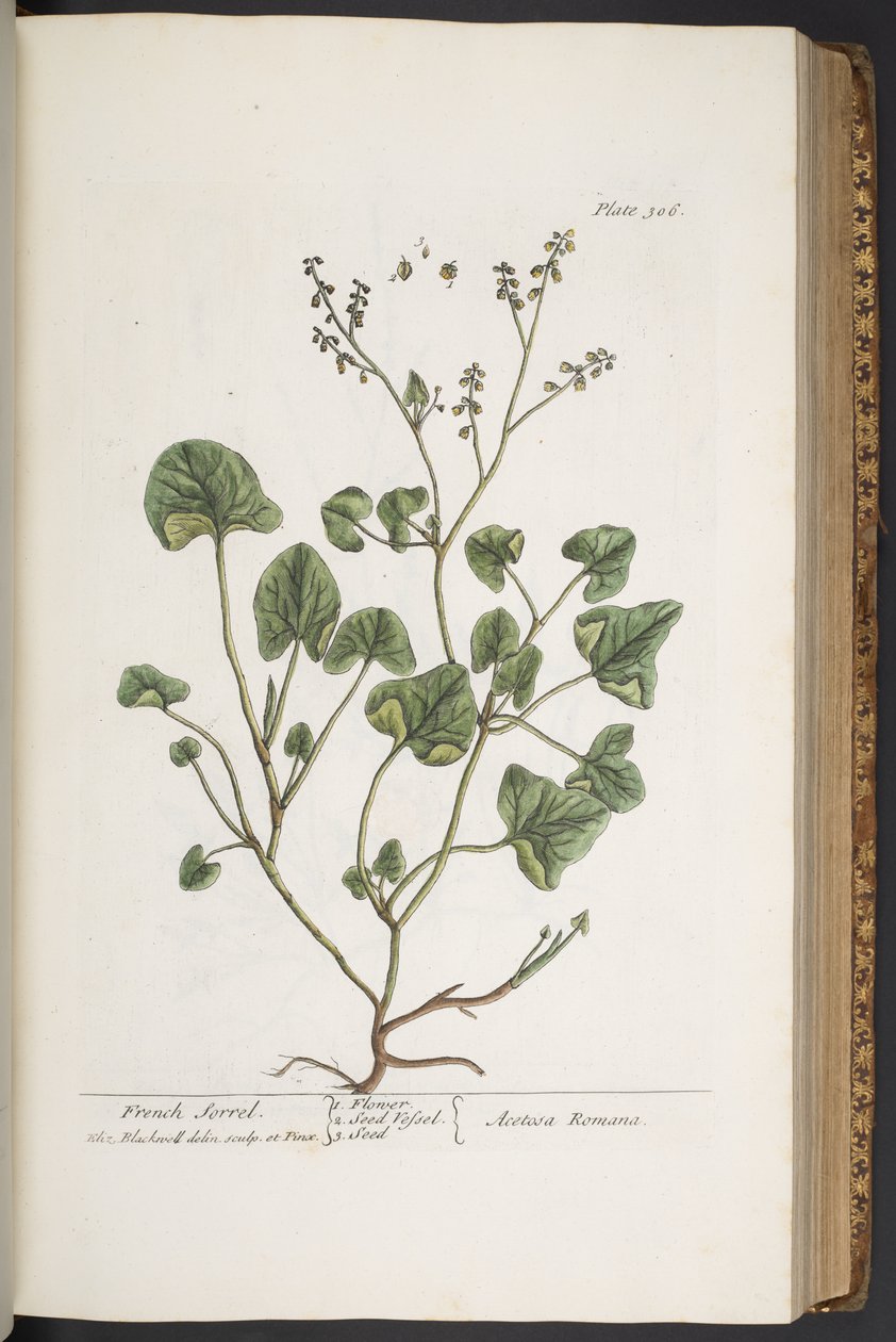 Tafel 306, aus 