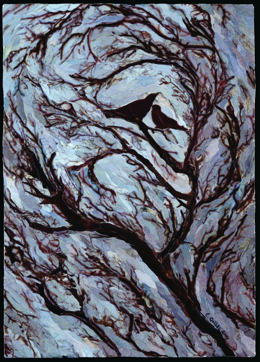 Stürmischer Tag, Greenwich Park, 2001 von Ellen Golla