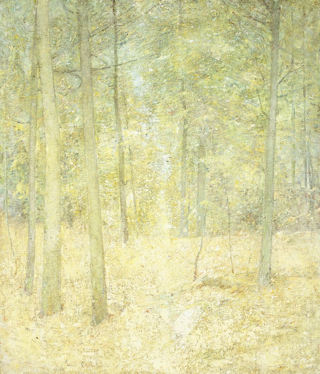 Eine Waldszene von Emil Carlsen