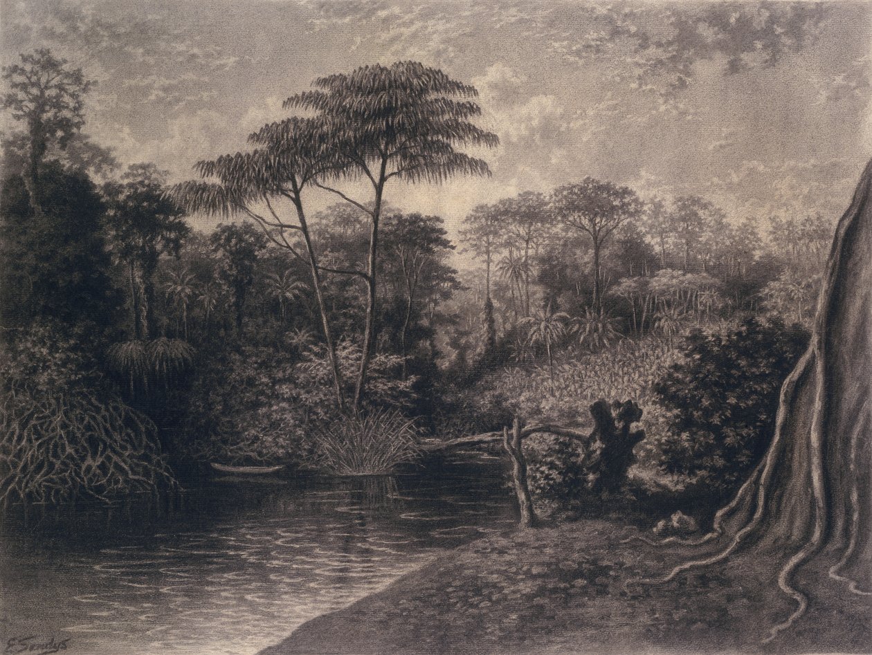 Ansicht des Kamerun-Flusses, Ambes Bay, Afrika, 1877 von Emma Sandys
