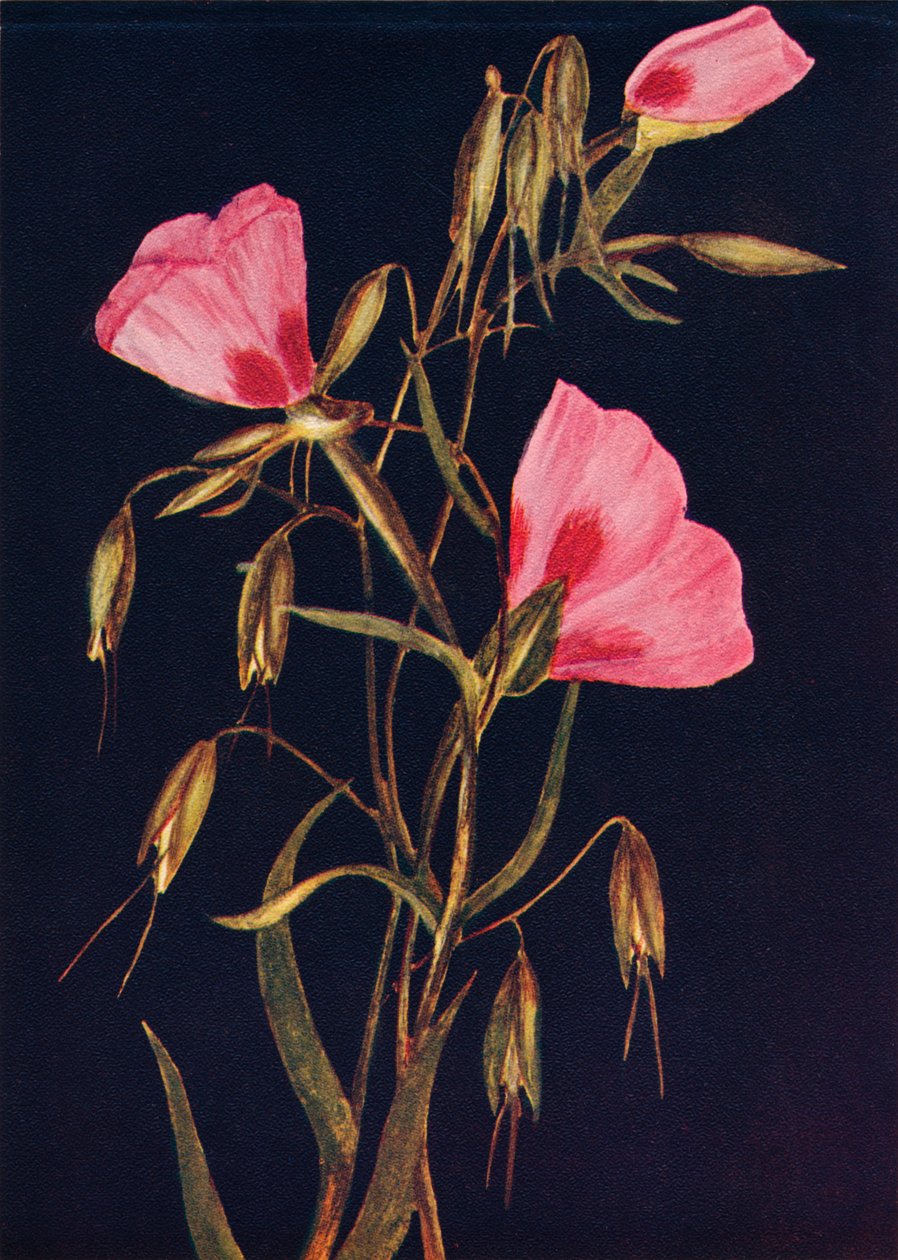 Abschied vom Frühling, ca. 1915, 1915 von Emma Graham Clock