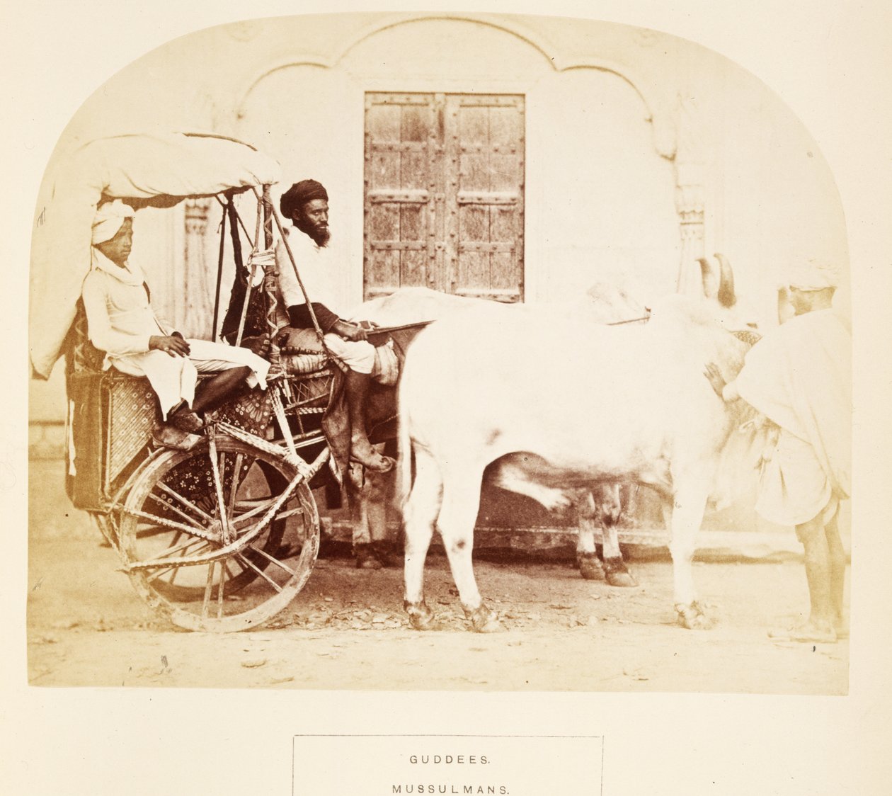 Guddees, Mussulmanen, Rajpootana, aus The People of India, von J. Forbes Watson, veröffentlicht 1868 von English Photographer