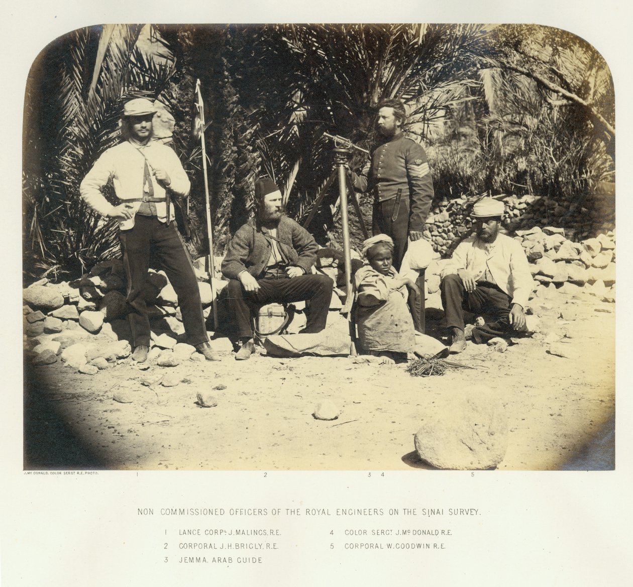 Mitglieder der Sinai-Expedition, 1868 von English Photographer