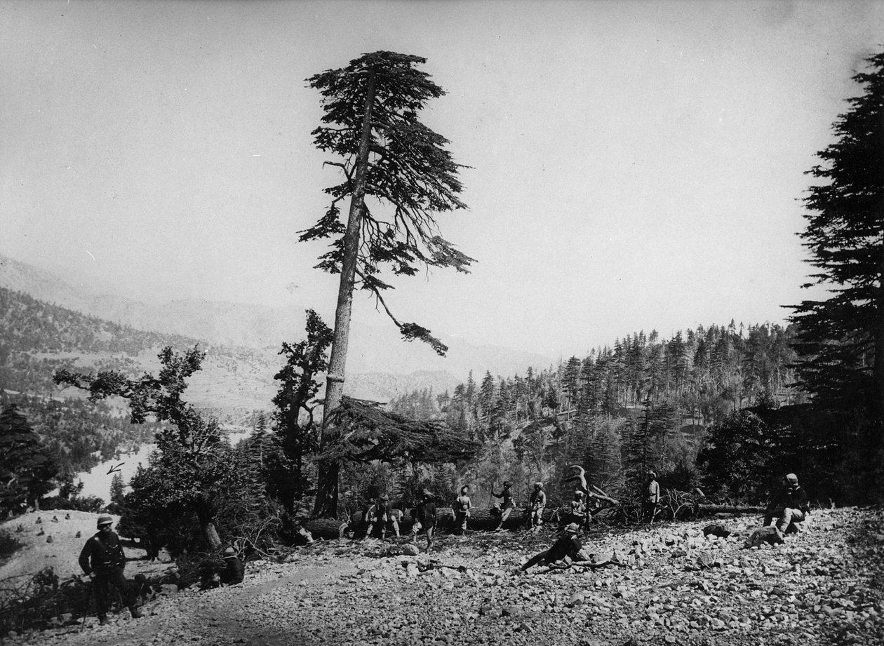 Einheimische und britische Soldaten ruhen sich während des Zweiten Anglo-Afghanischen Krieges, 1878-80 aus von English Photographer