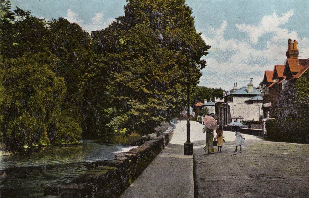 Der Teich, Bonchurch von English Photographer