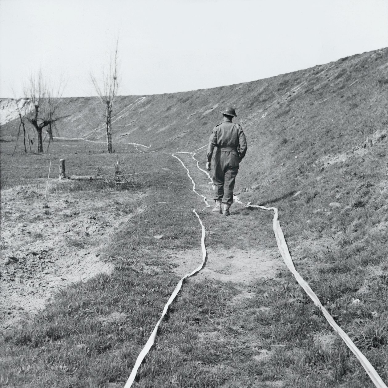 Weißes Band markiert klare Wege durch ein Minenfeld, am Fluss Senio, Italien, März 1945 von English Photographer