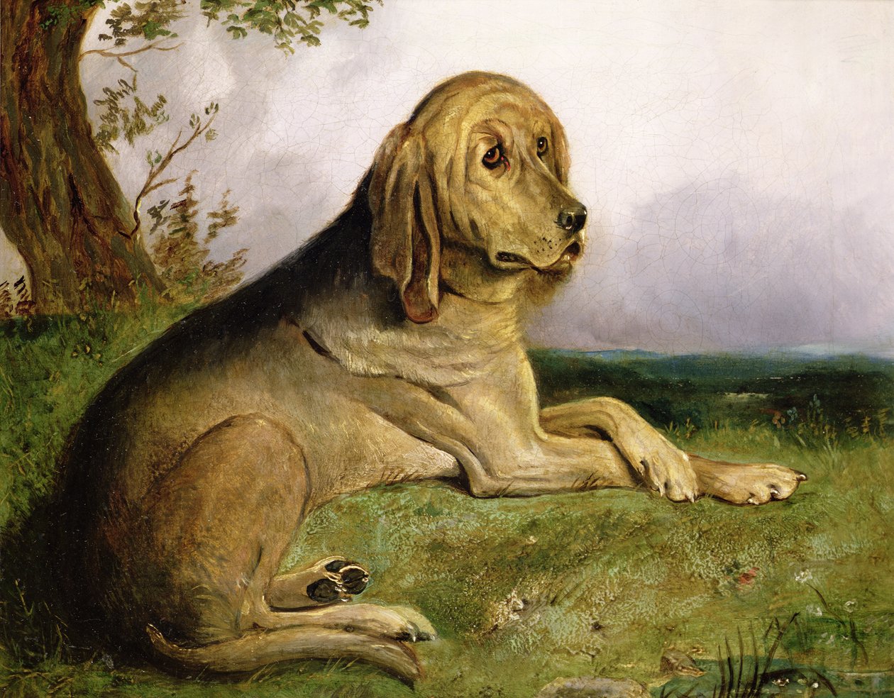 Ein Bluthund in einer Landschaft von English School