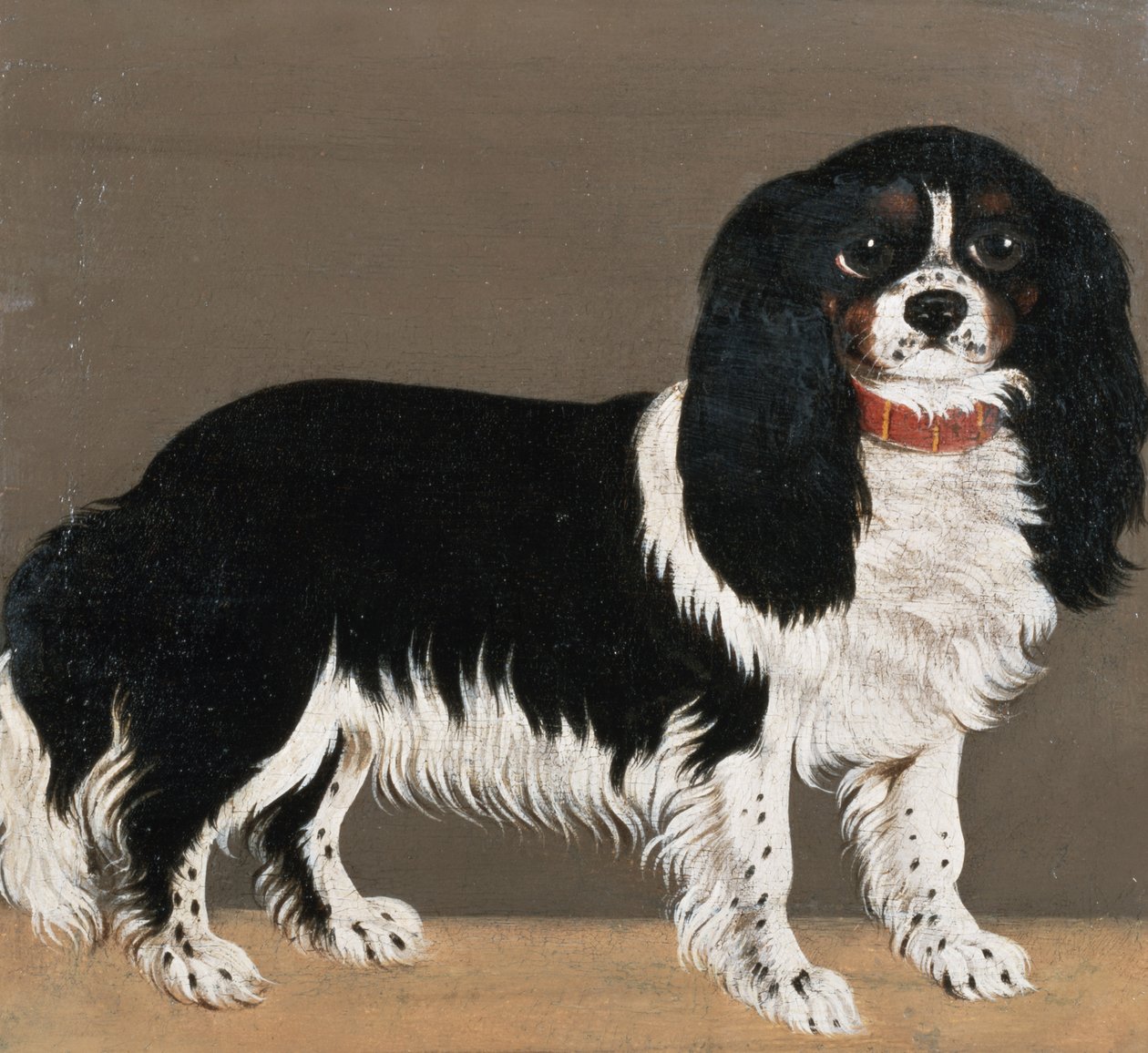 Ein Cavalier King Charles Spaniel von English School