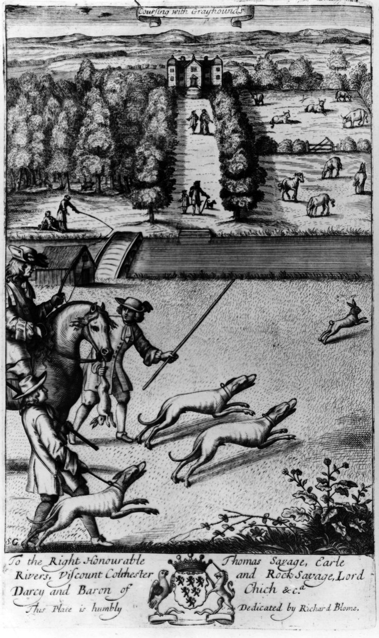 Hetzjagd mit Windhunden, aus 