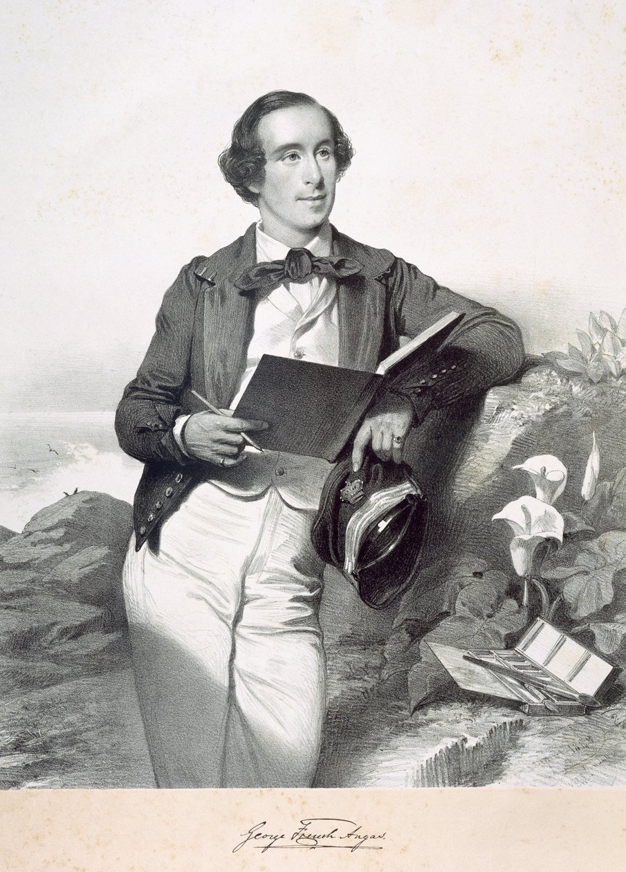 George French Angas von English School