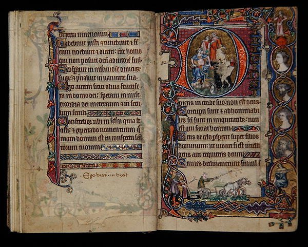 David und der Narr, historisierte Initiale aus dem Macclesfield Psalter, Gebrauch von Sarum, Ostanglien, ca. 1330 von English School