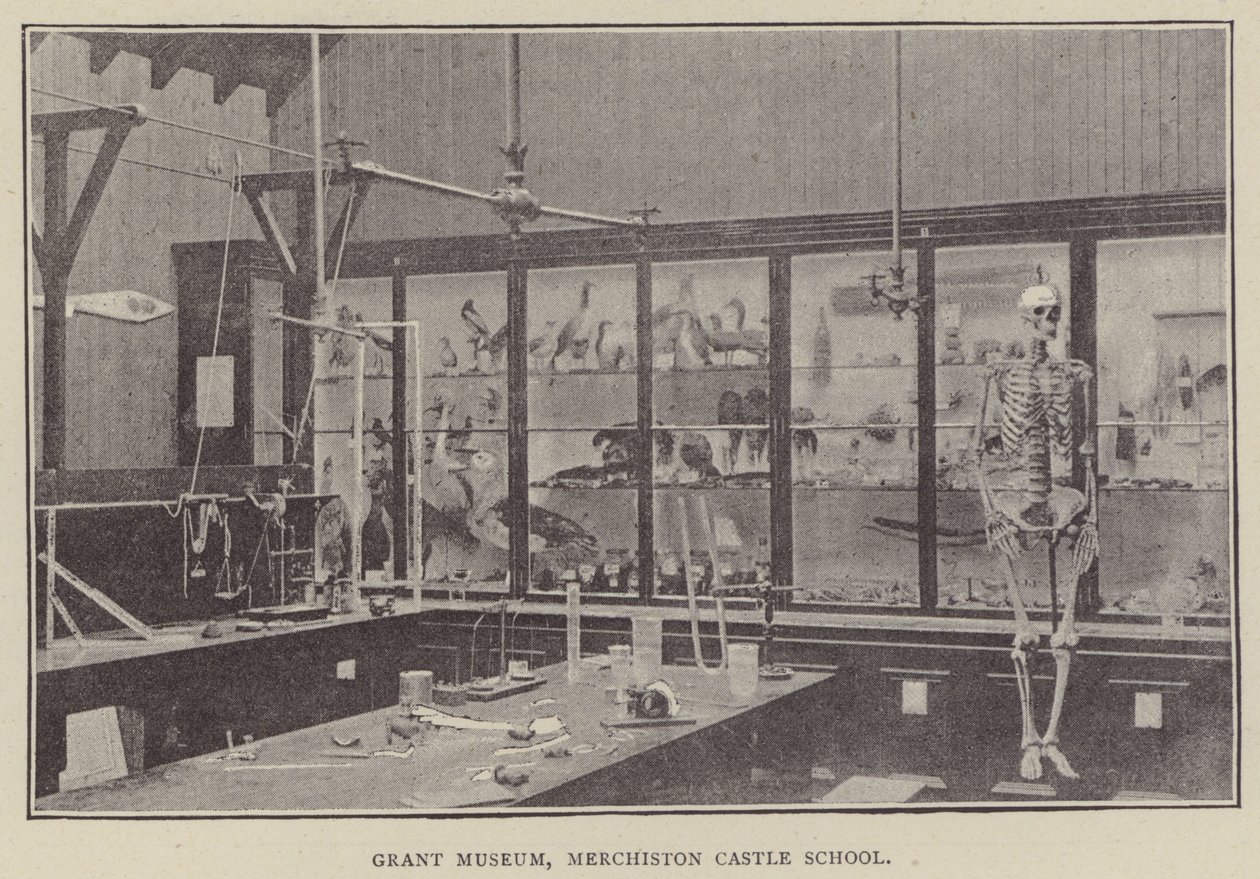 Grant Museum, Merchiston Castle School (Gravur) von English Photographer