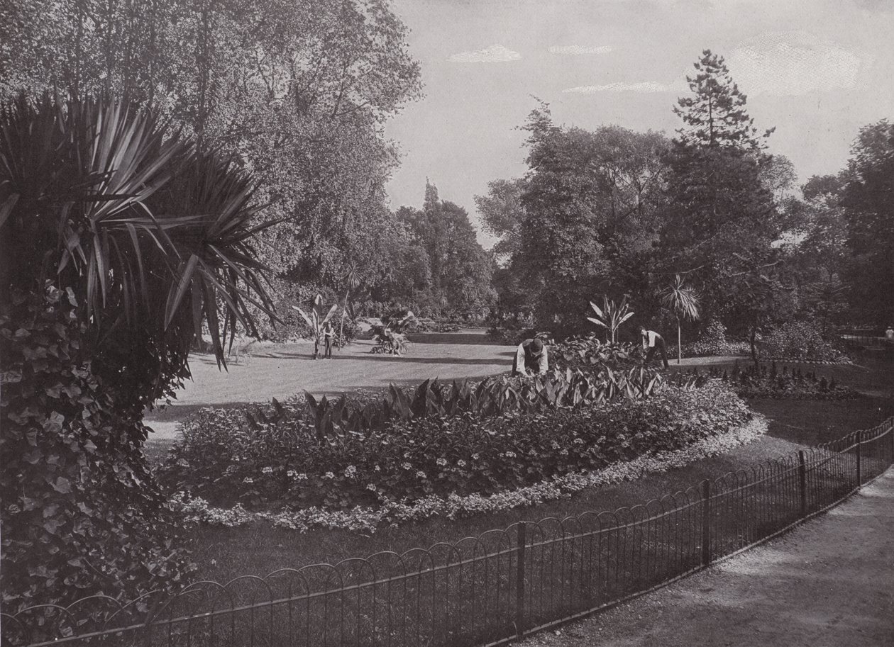 Subtropische Gärten, Battersea Park von English Photographer