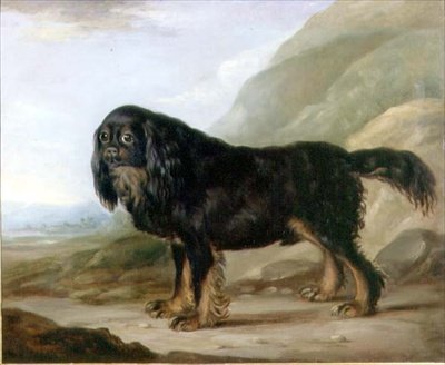 Ein King Charles Spaniel in einer Landschaft von English School