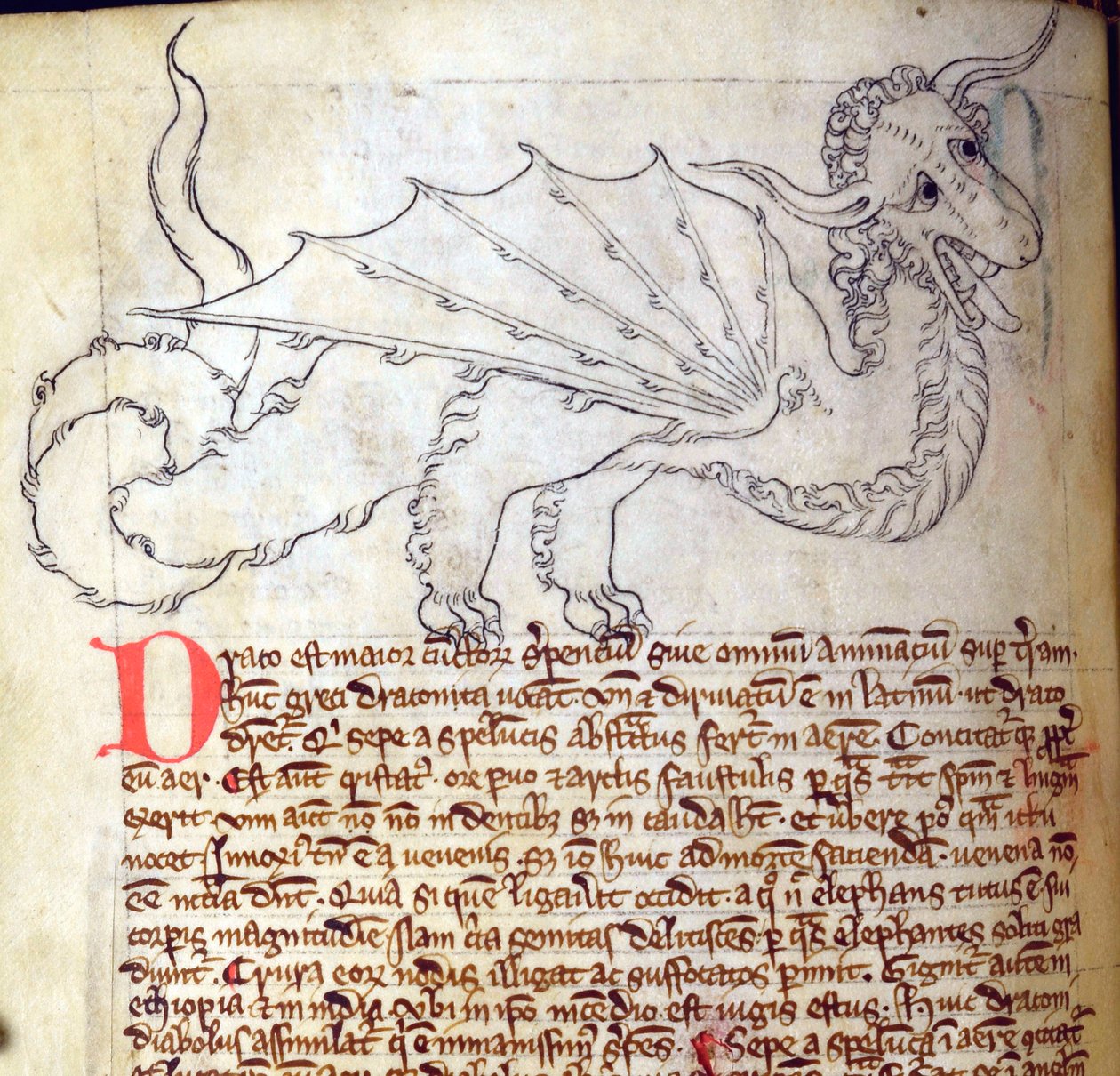 CCA-LitMs/D/10 fol. 24v Drache, aus Bestiarium von English School