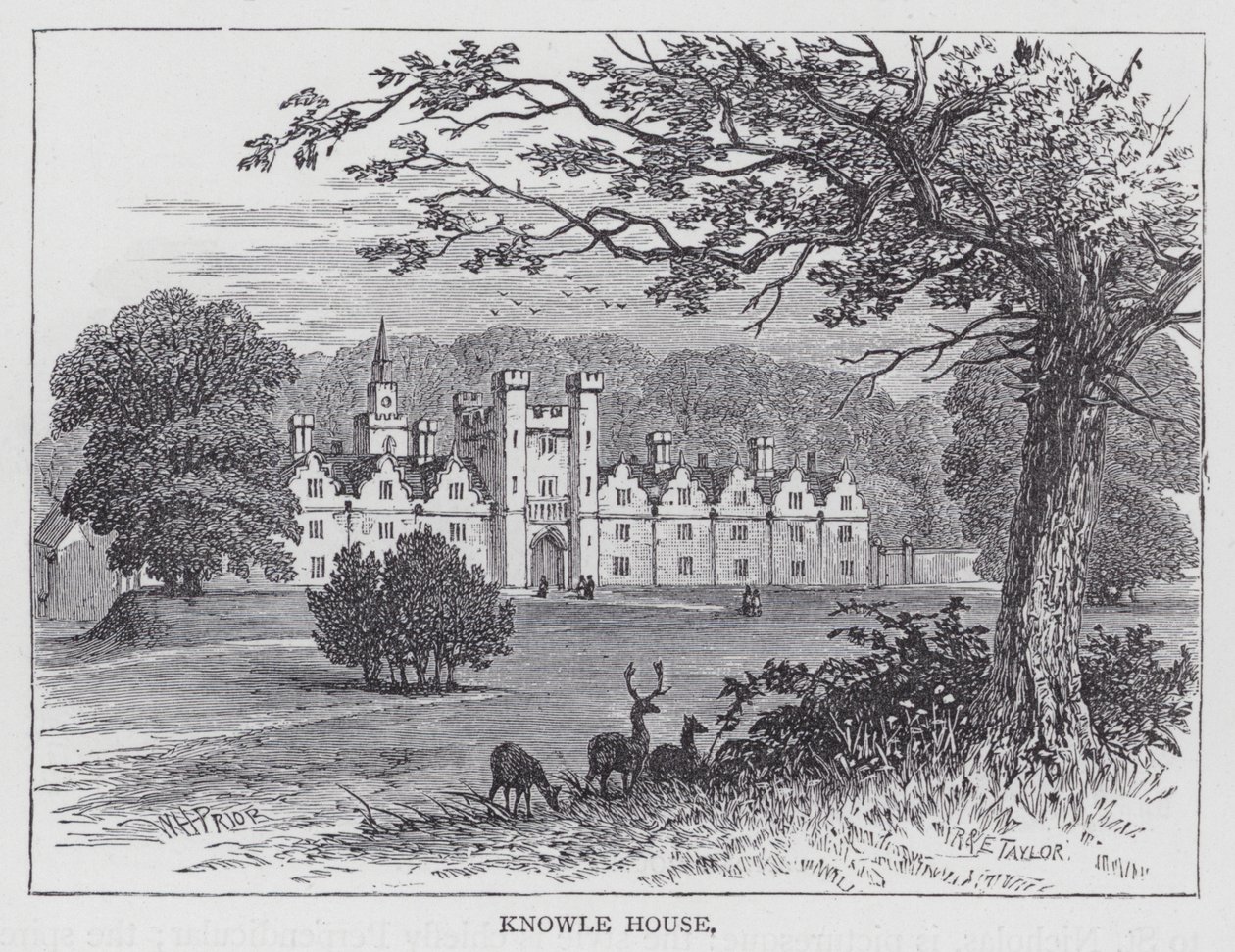 Knowle House (Stich) von English School