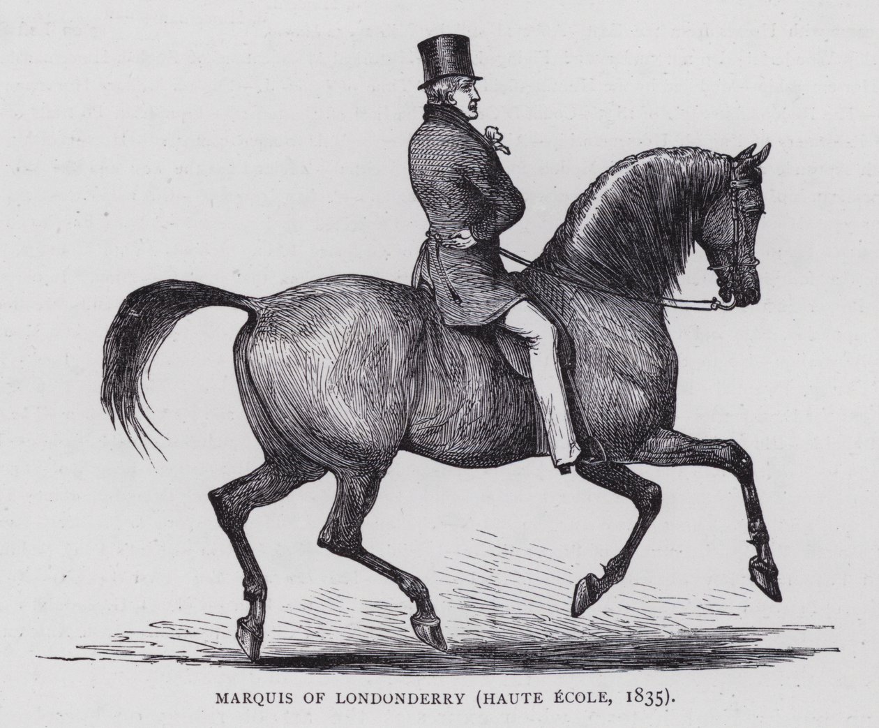 Marquis von Londonderry von English School