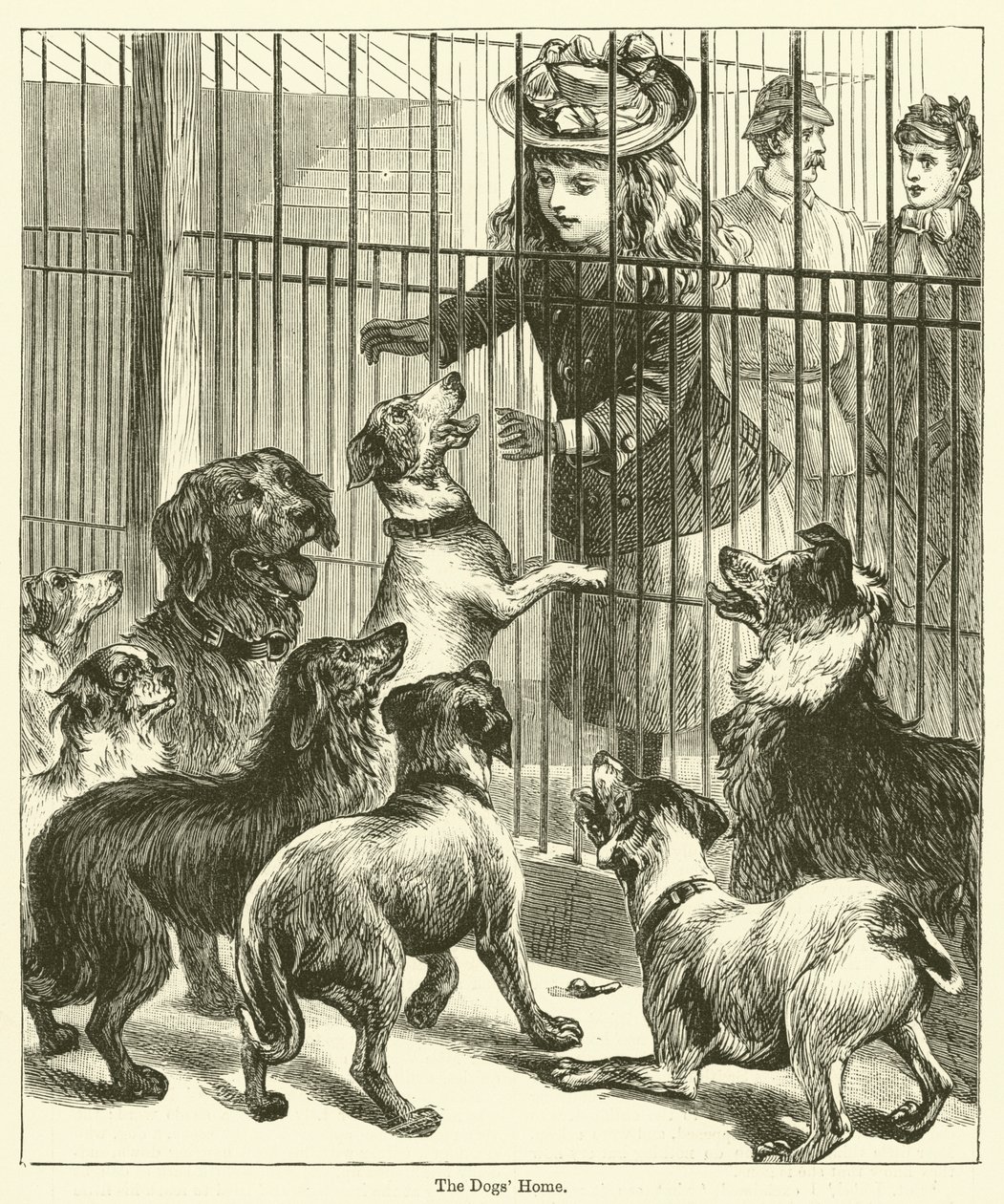 Das Hundeheim (Gravur) von English School