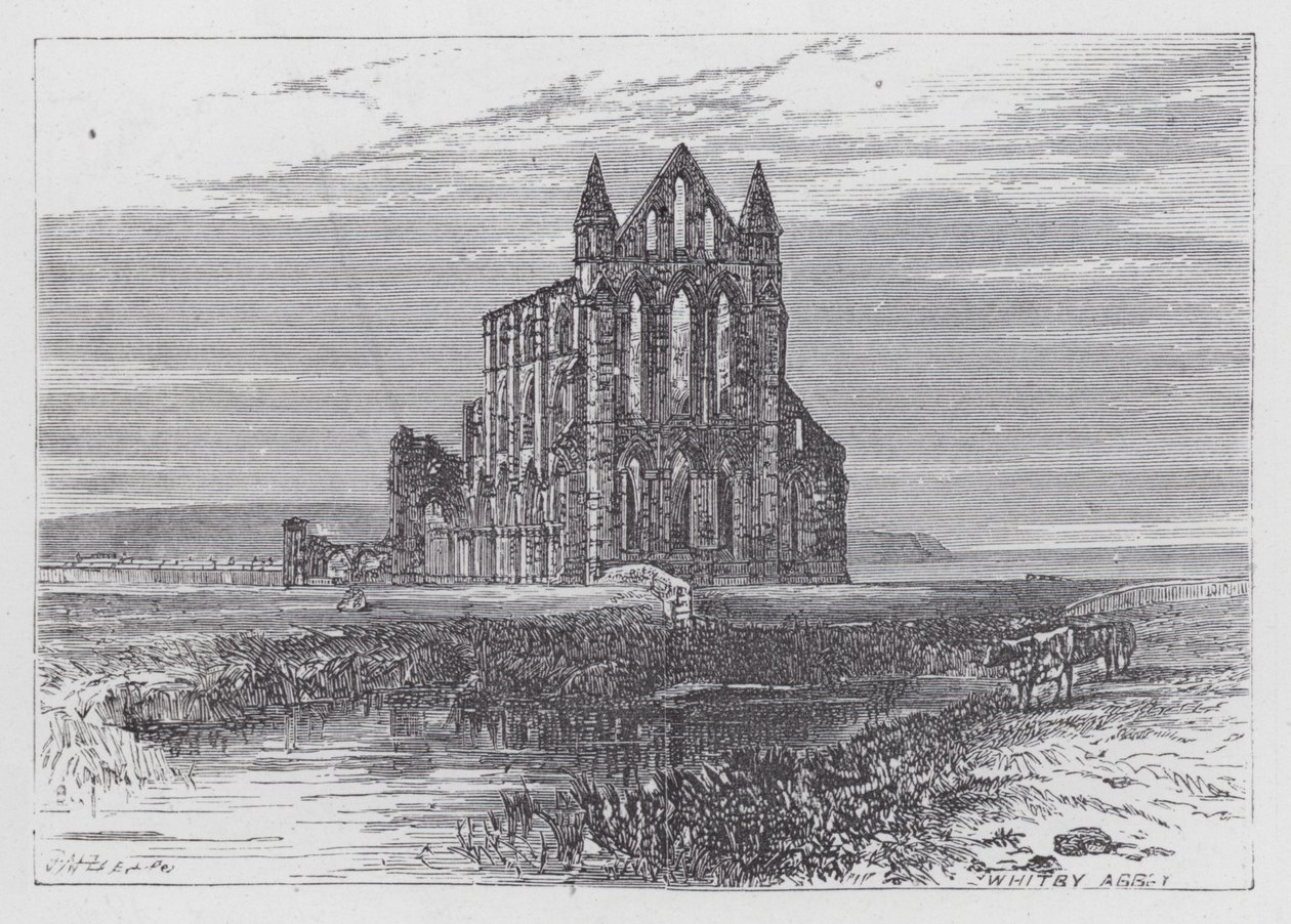 Whitby Abbey von English School