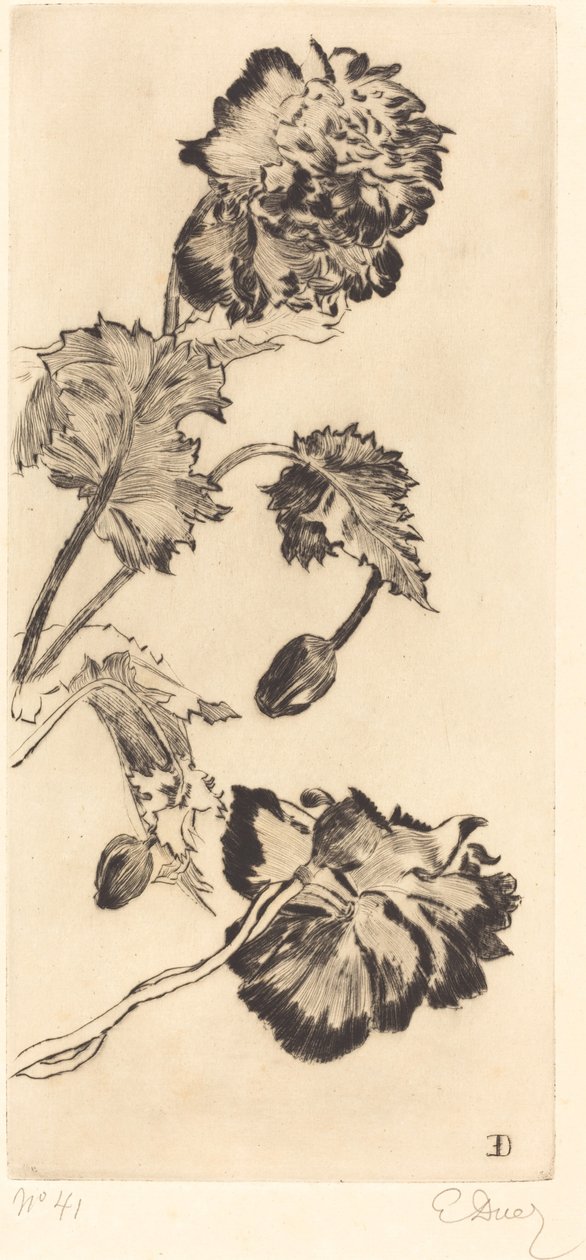 Blumen (Fleurs) von Ernest Ange Duez