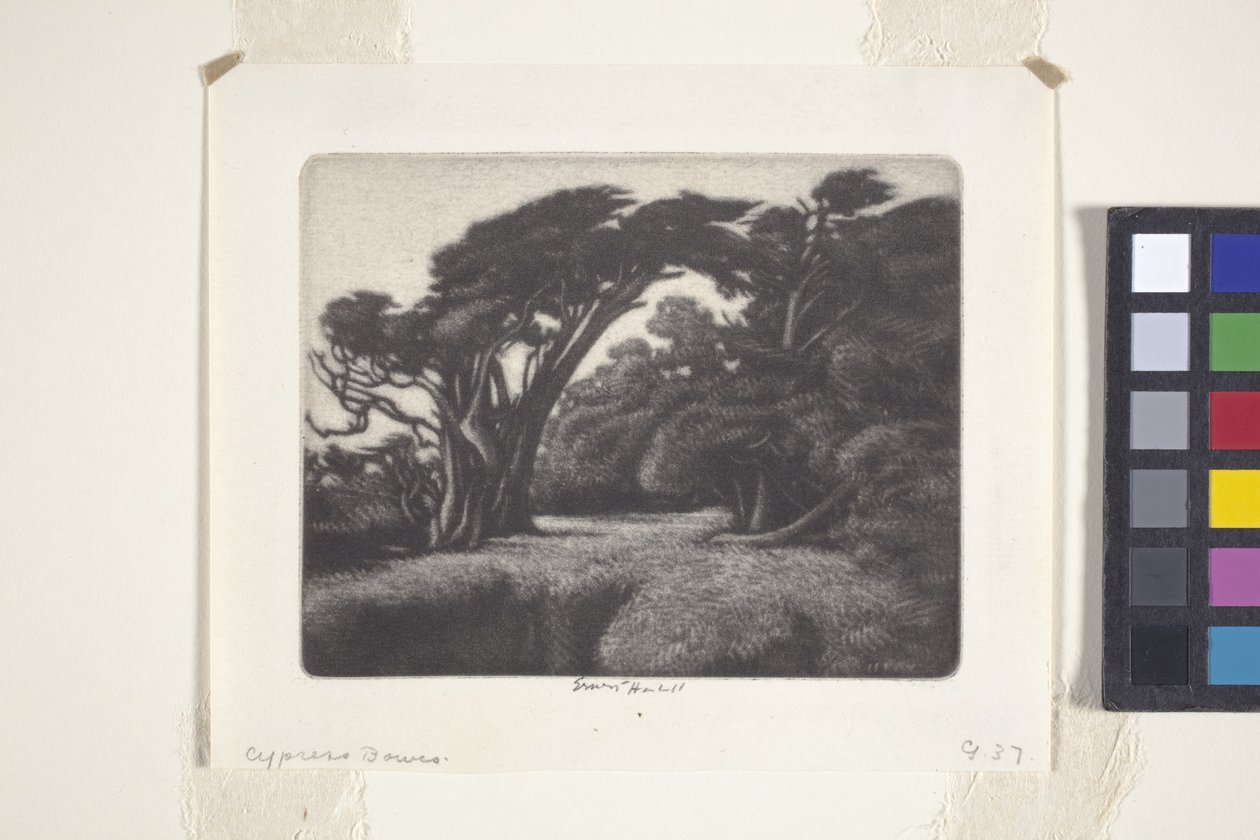 Zypressenlaube von Ernest Haskell