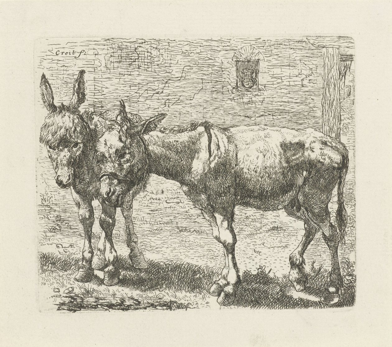 Zwei Esel von Ernst Ludwig Creite