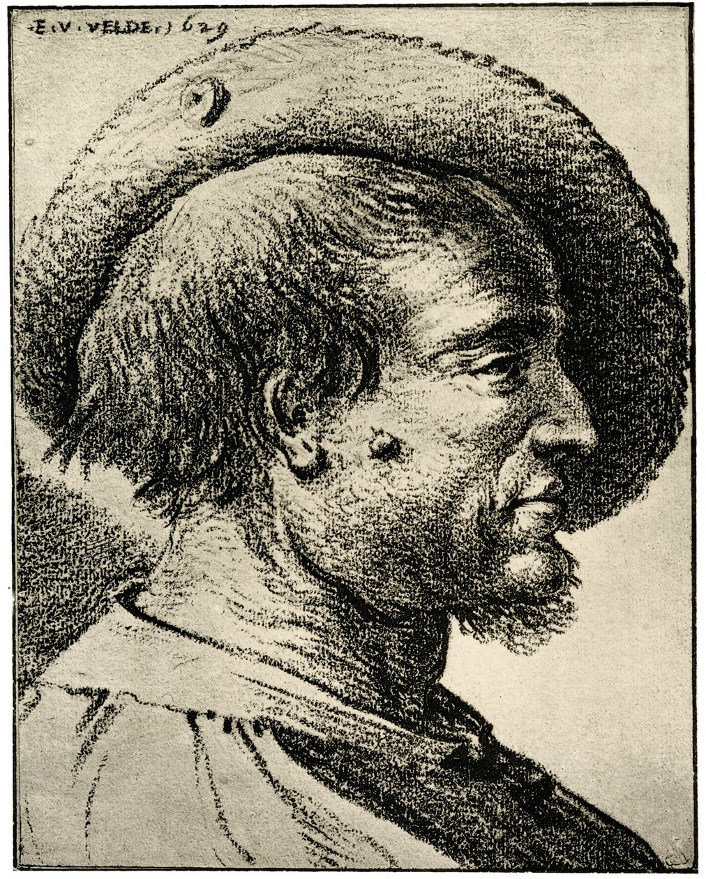 Studie eines männlichen Kopfes von Esaias van de Velde