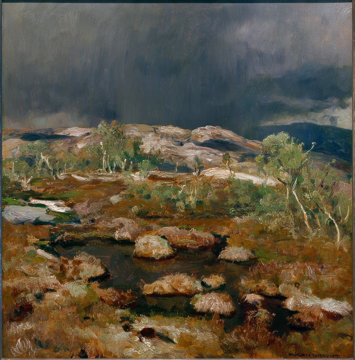 Regenschauer im Norwegischen Hochmoor von Eugen Felix Prosper Bracht