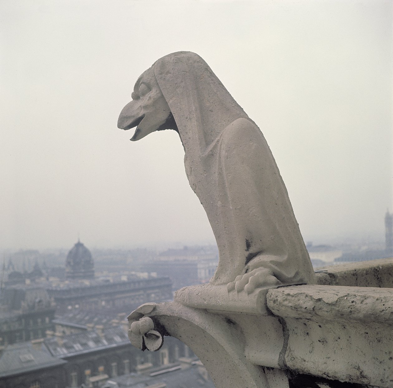 Wasserspeier auf der Balustrade der Grande Galerie, Replik eines Originals aus dem 12. Jahrhundert von Eugene Emmanuel Viollet le Duc
