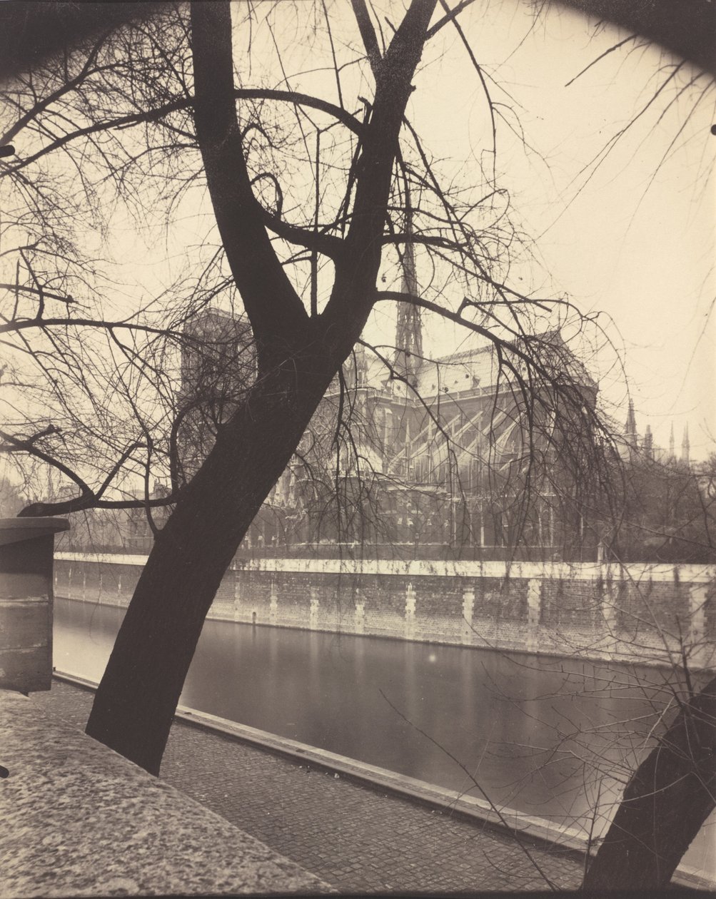 Notre-Dame, 1922 (Foto) von Eugène Atget