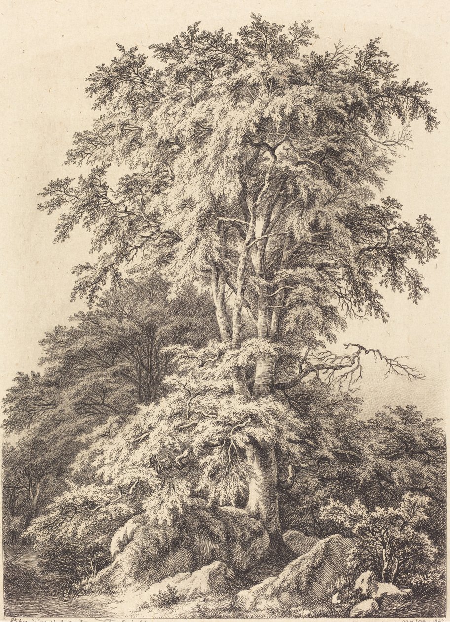 Buchenhain von Eugene Bléry