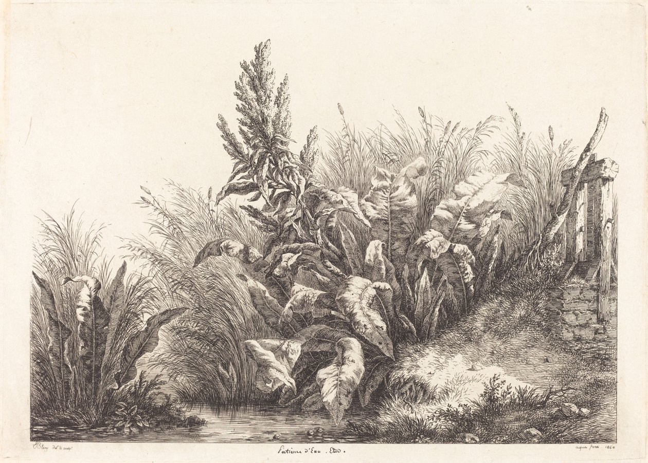 Geduld des Wassers, Studie von Eugene Bléry
