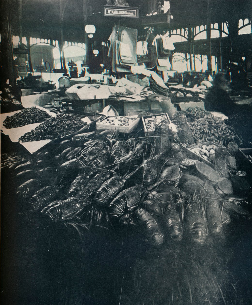 Fischmarkt, ca. 1877-1927, 1929 von Eugène Atget