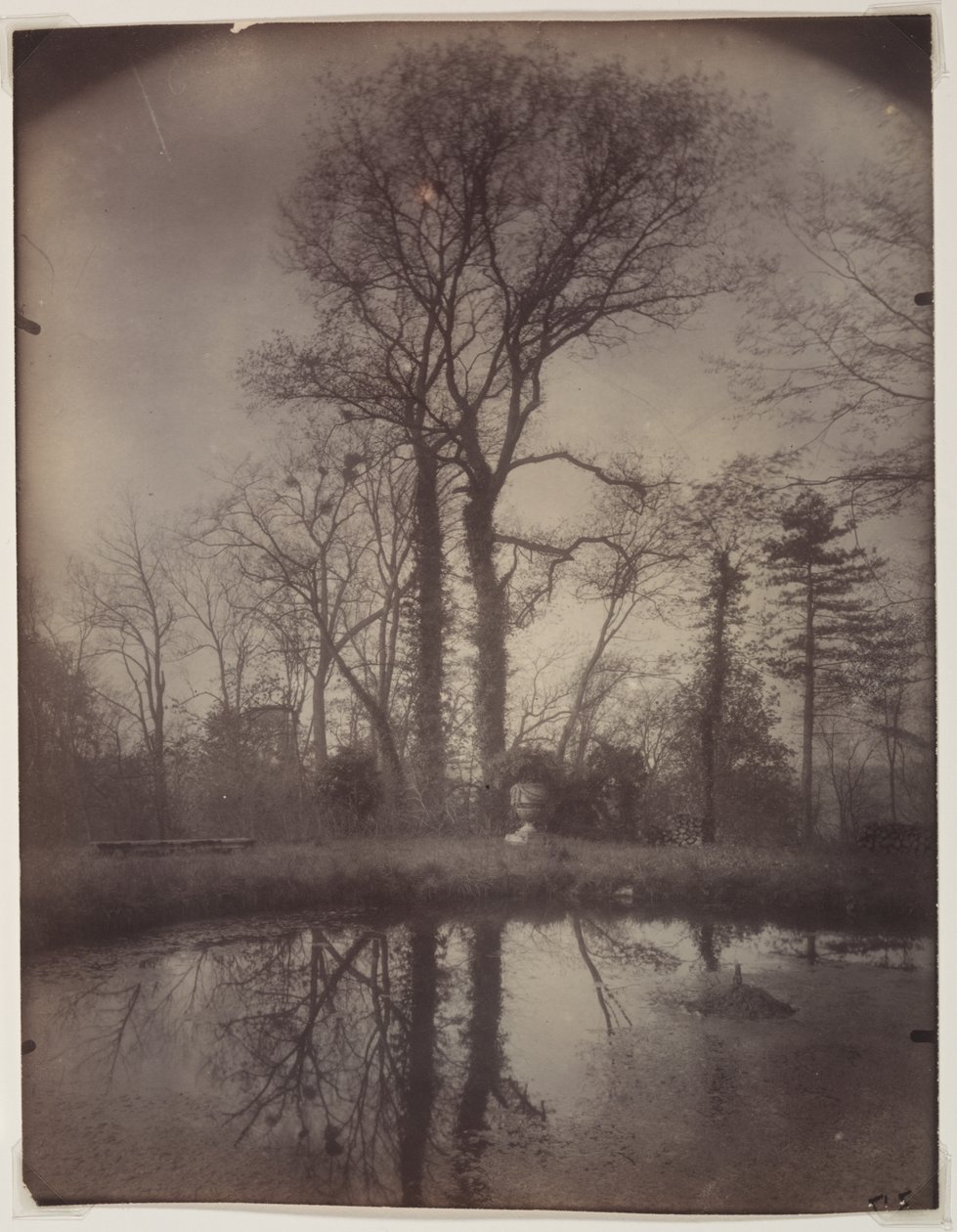 Der Park von Sceaux [April 1925, 7 Uhr morgens] von Eugène Atget