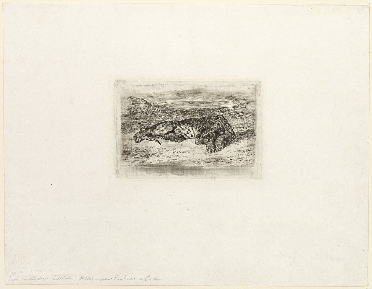 Tiger ruht in der Wüste von Eugène Delacroix