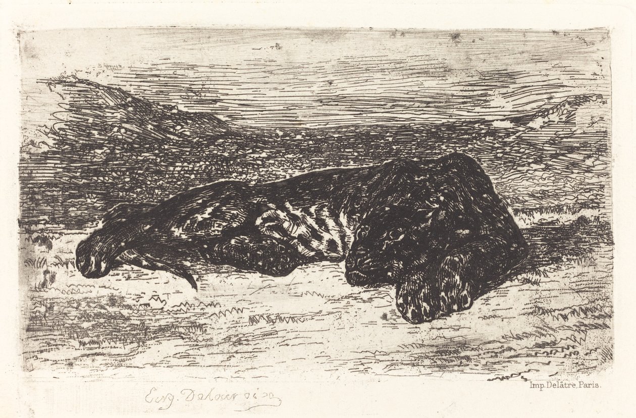Schlafender Tiger in der Wüste von Eugène Delacroix