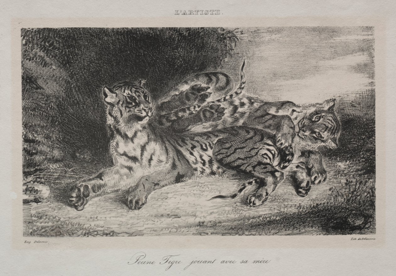 Junger Tiger spielt mit seiner Mutter von Eugène Delacroix