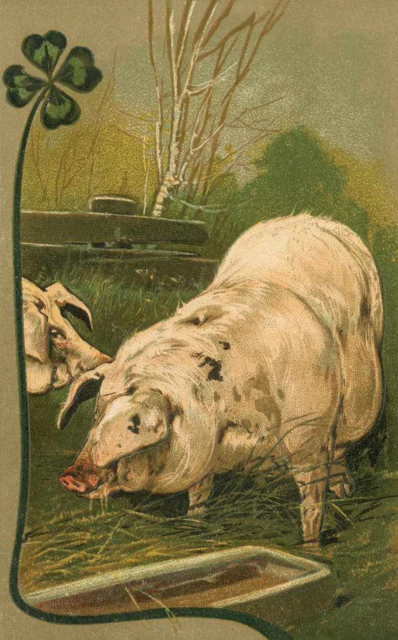 Ein Schwein im Klee von European School