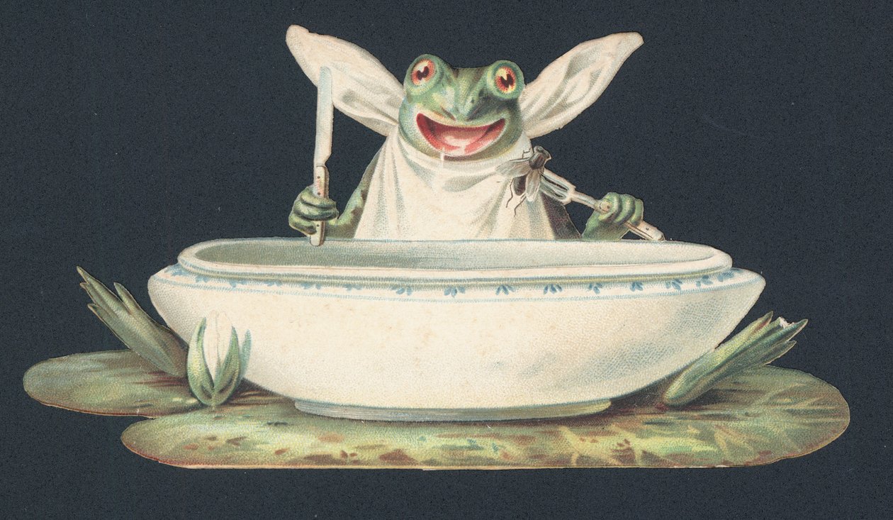 Ein Frosch frisst eine Fliege von European School