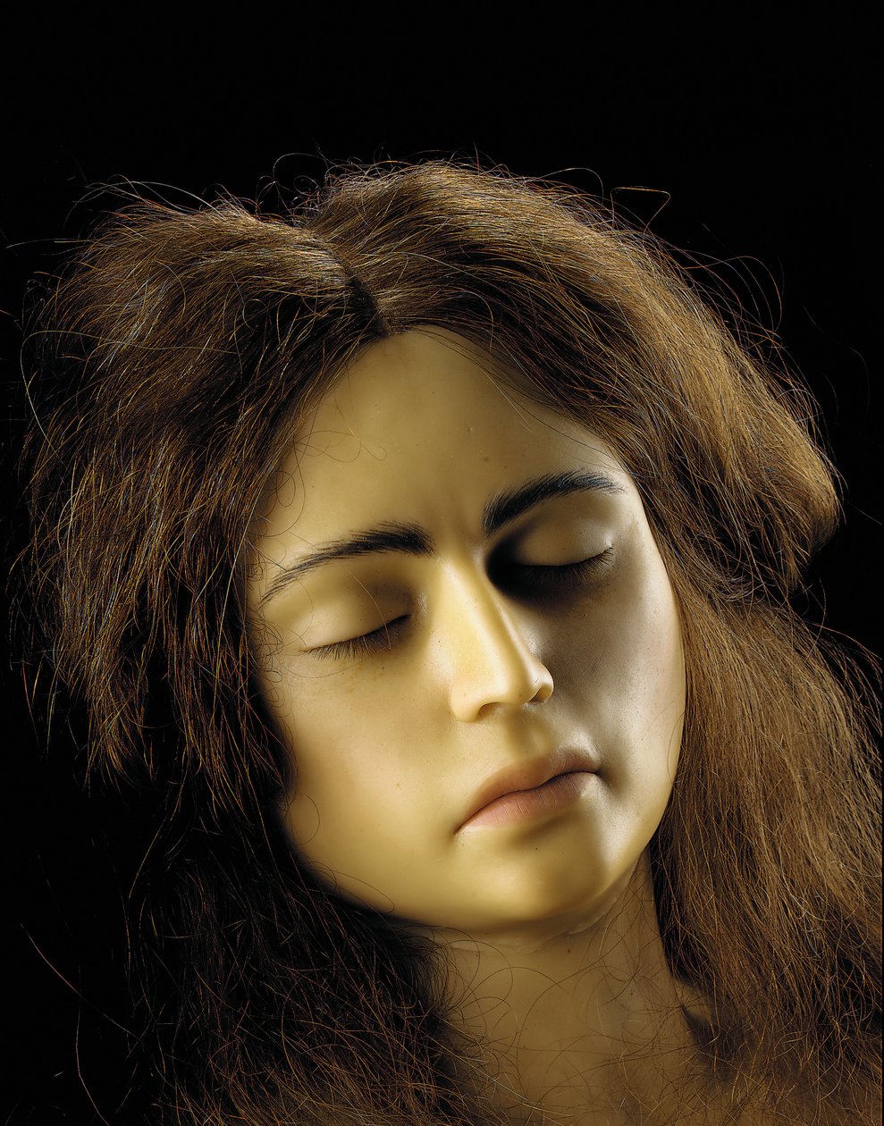 Anatomisches Modell einer Eileiterschwangerschaft (Detail) von European School