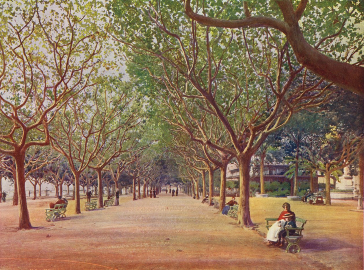 Cannes, Les Allées von European School