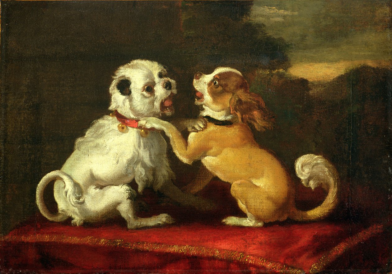 Spielende Hunde von European School