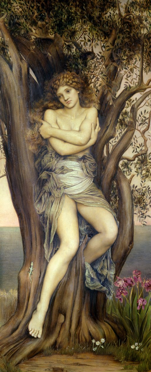 Die Dryade, 1884-85 von Evelyn De Morgan